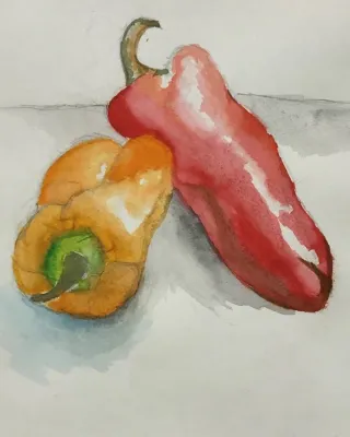 Drawing of peppers